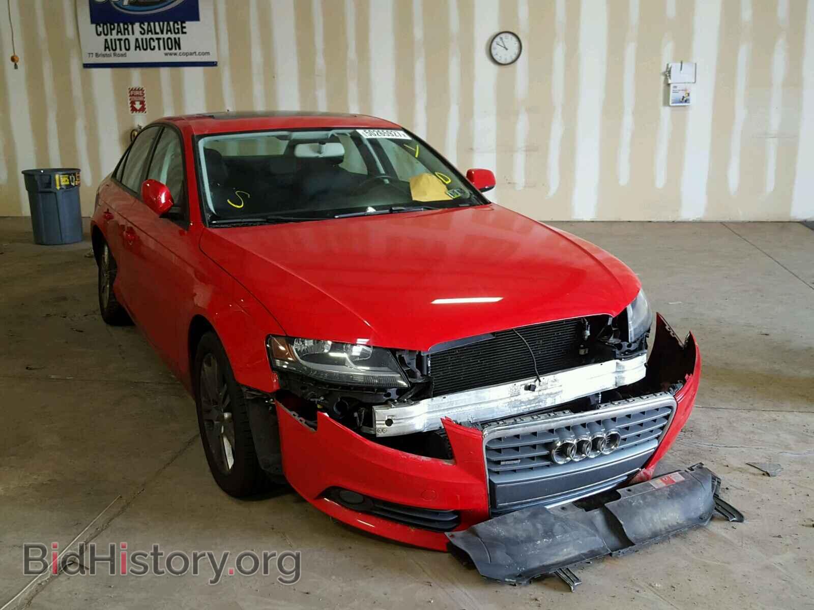 Фотография WAUBFAFL9AN034843 - AUDI A4 2010