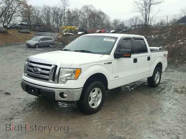 2011 FORD F150 - VIN: 1FTFW1CT1BFB75295 - Фото 2