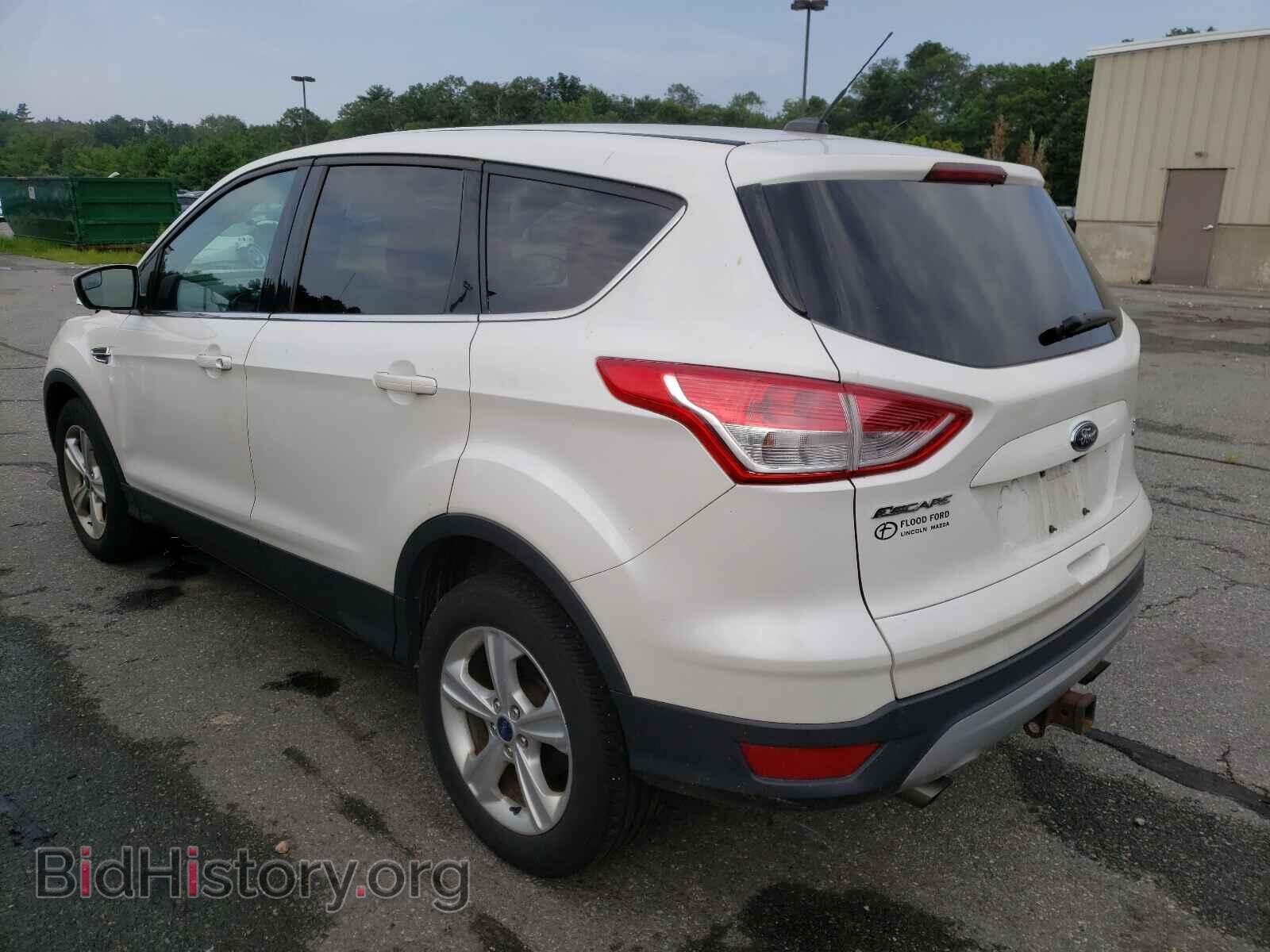 2014 FORD ESCAPE - VIN: 1FMCU9G96EUC72073 - Photo 3
