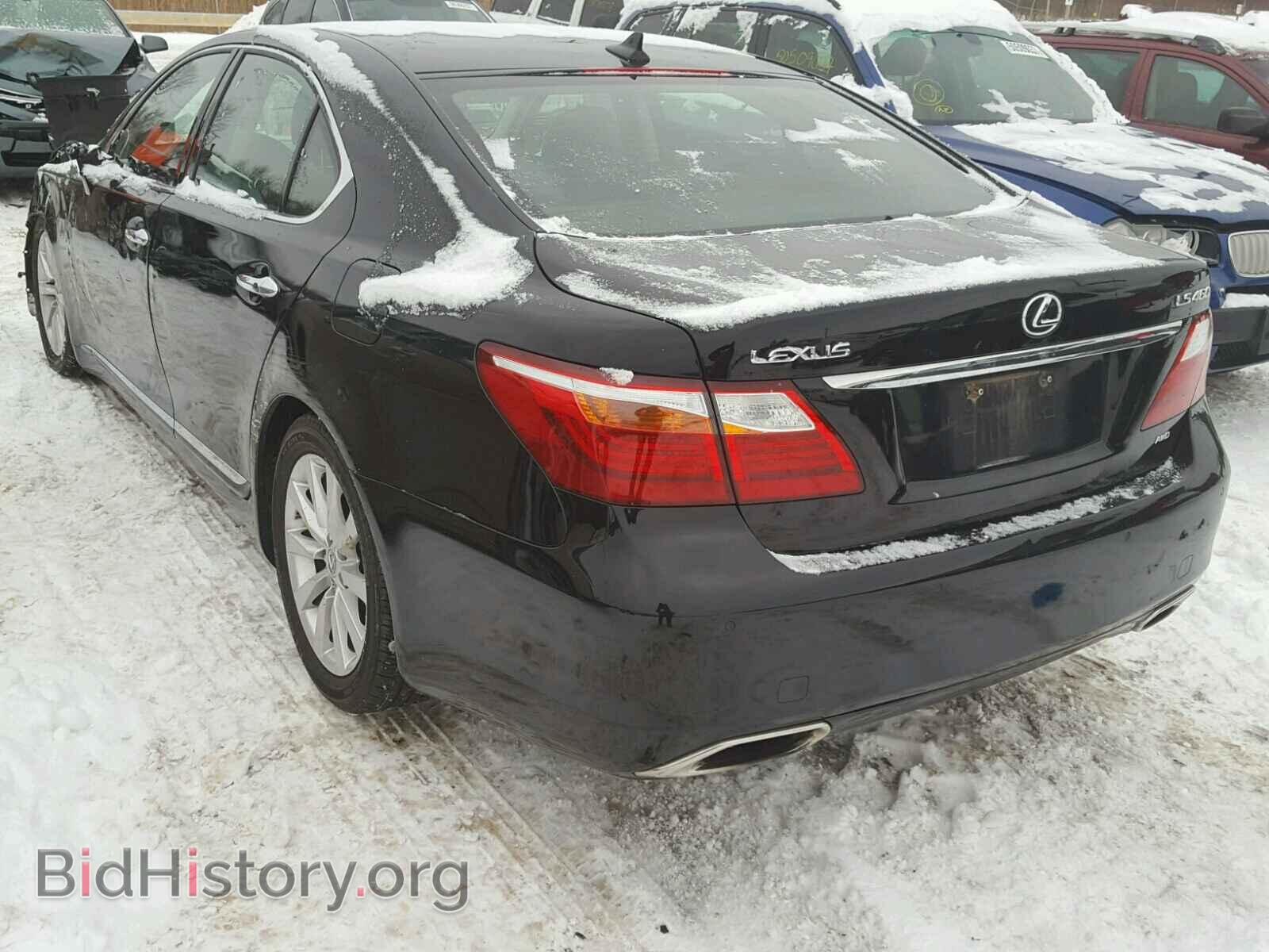 2010 LEXUS LS460 - VIN: JTHCL5EF8A5004637 - Фото 3