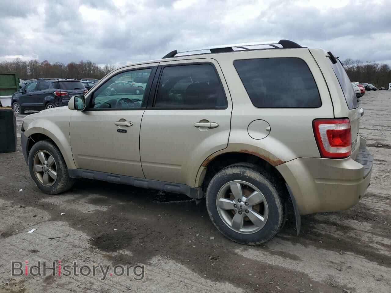 2011 FORD ESCAPE - VIN: 1FMCU9EG2BKB71329 - Фото 2