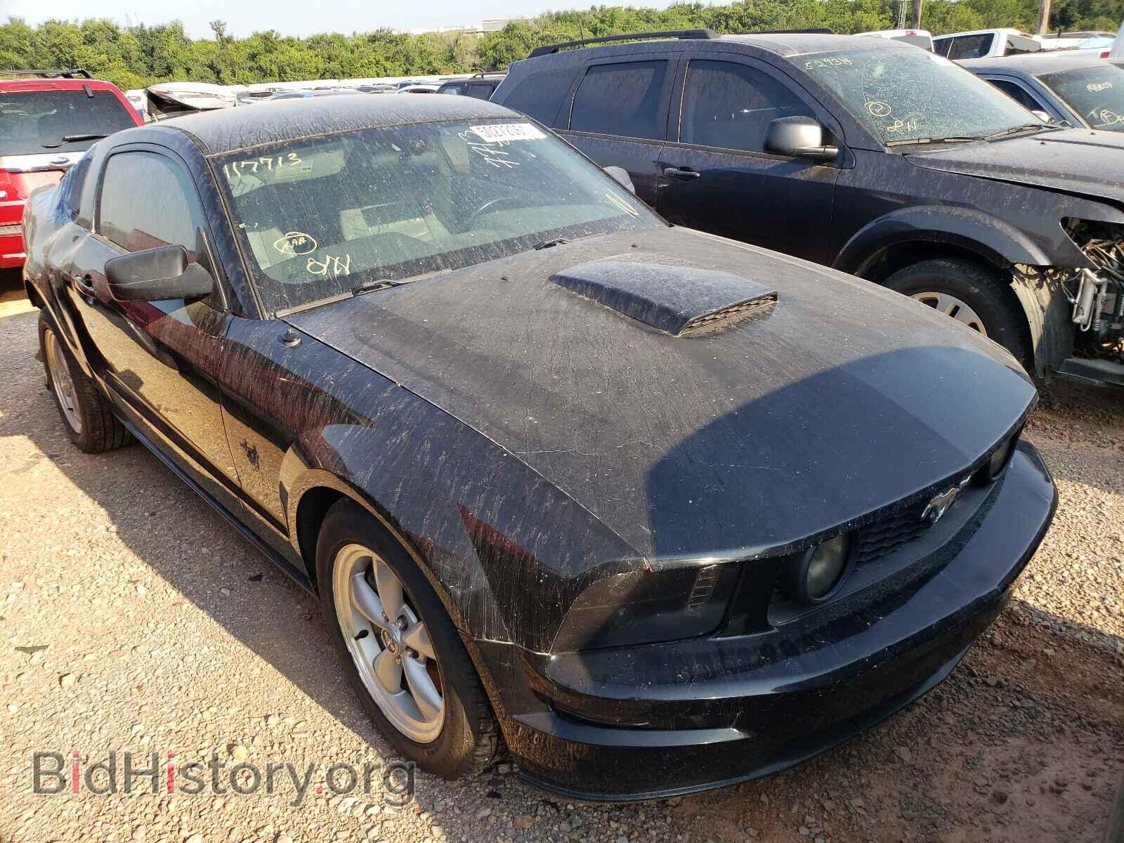 Фотография 1ZVHT82H595117713 - FORD MUSTANG 2009