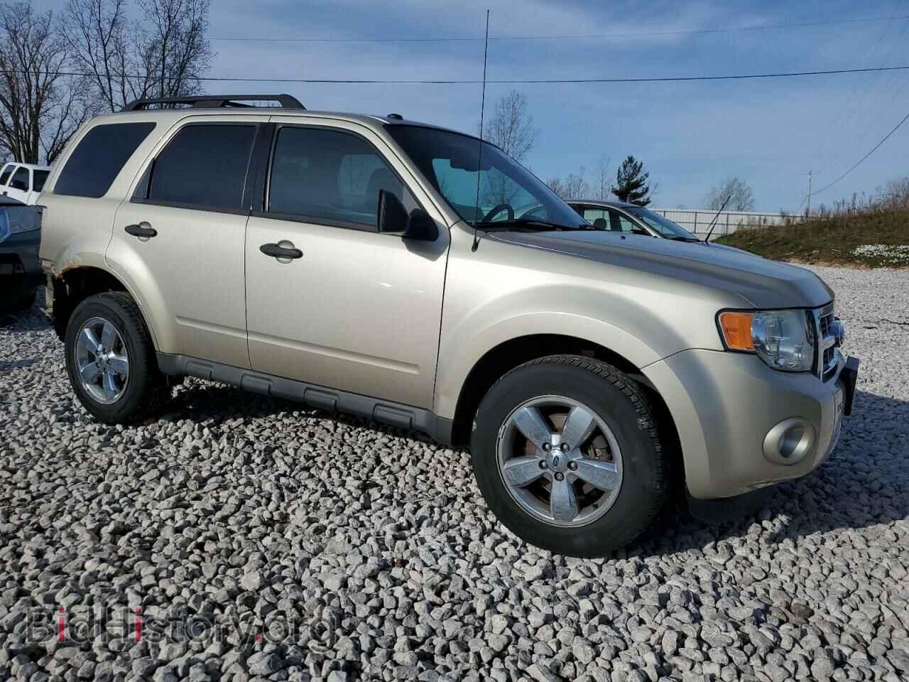 2010 FORD ESCAPE - VIN: 1FMCU0DG2AKA29011 - Фото 4