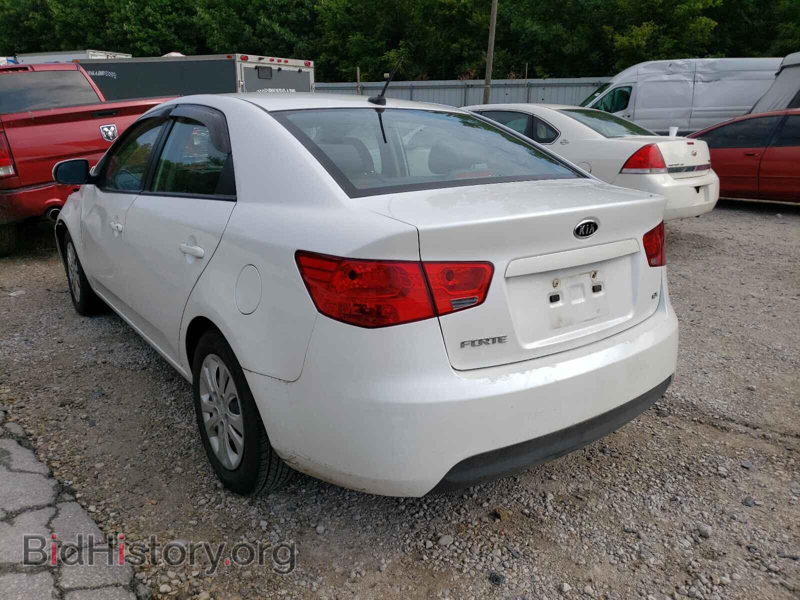 2013 KIA FORTE - VIN: KNAFU4A20D5738229 - Фото 3