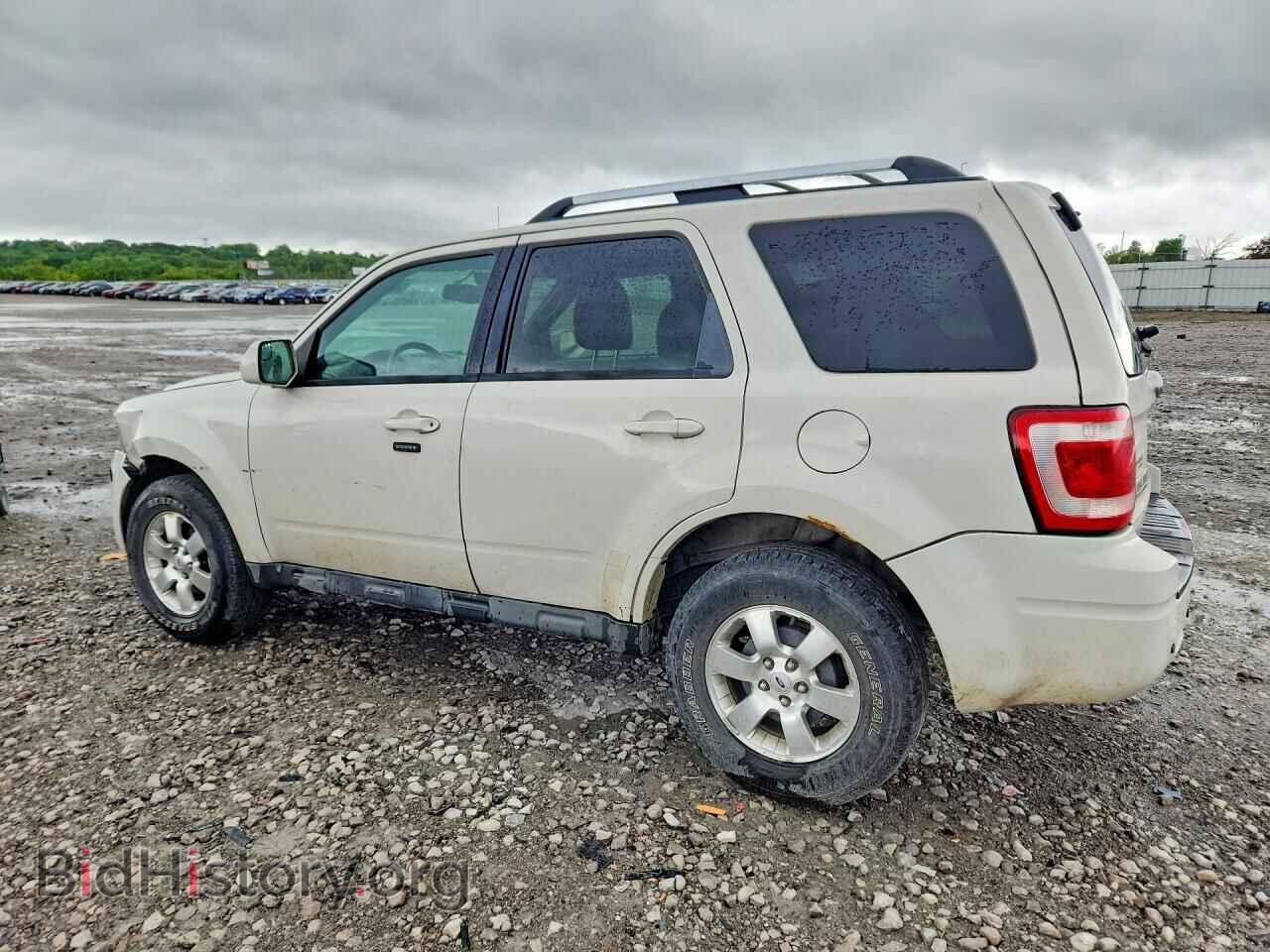 2011 FORD ESCAPE - VIN: 1FMCU9EG4BKC31191 - Фото 2