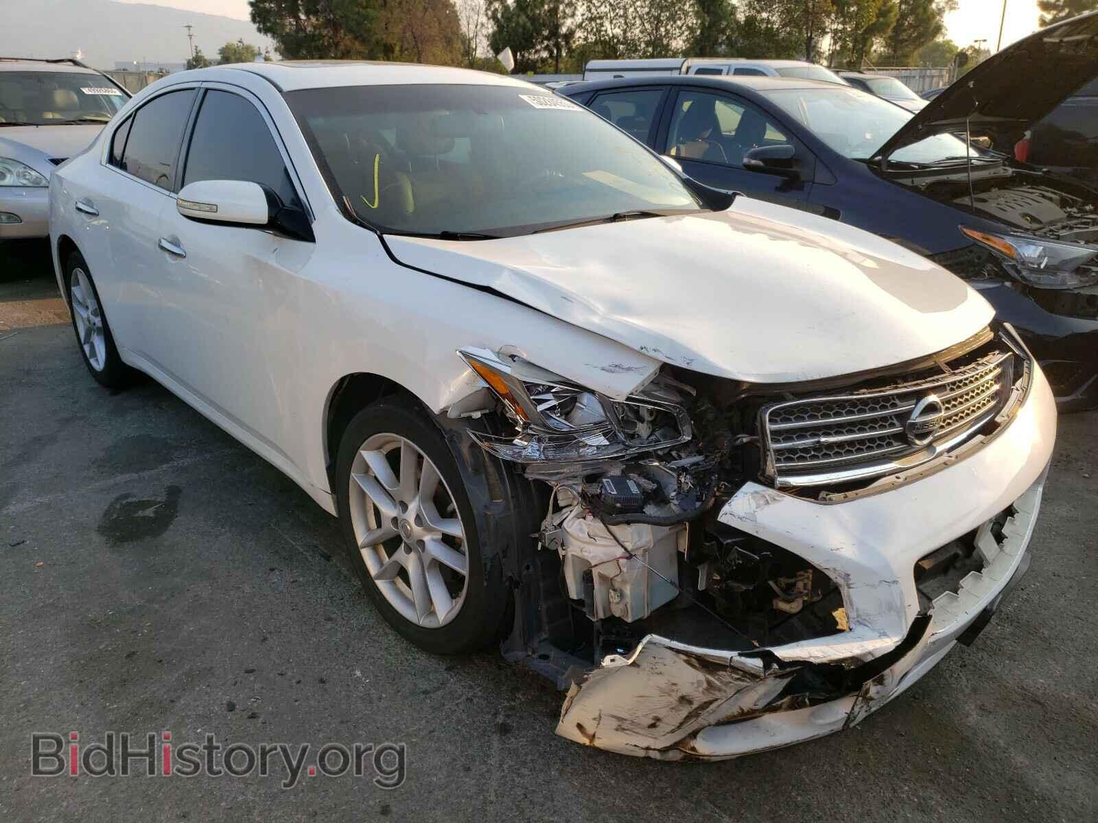 Photo 1N4AA51E39C852952 - NISSAN MAXIMA 2009
