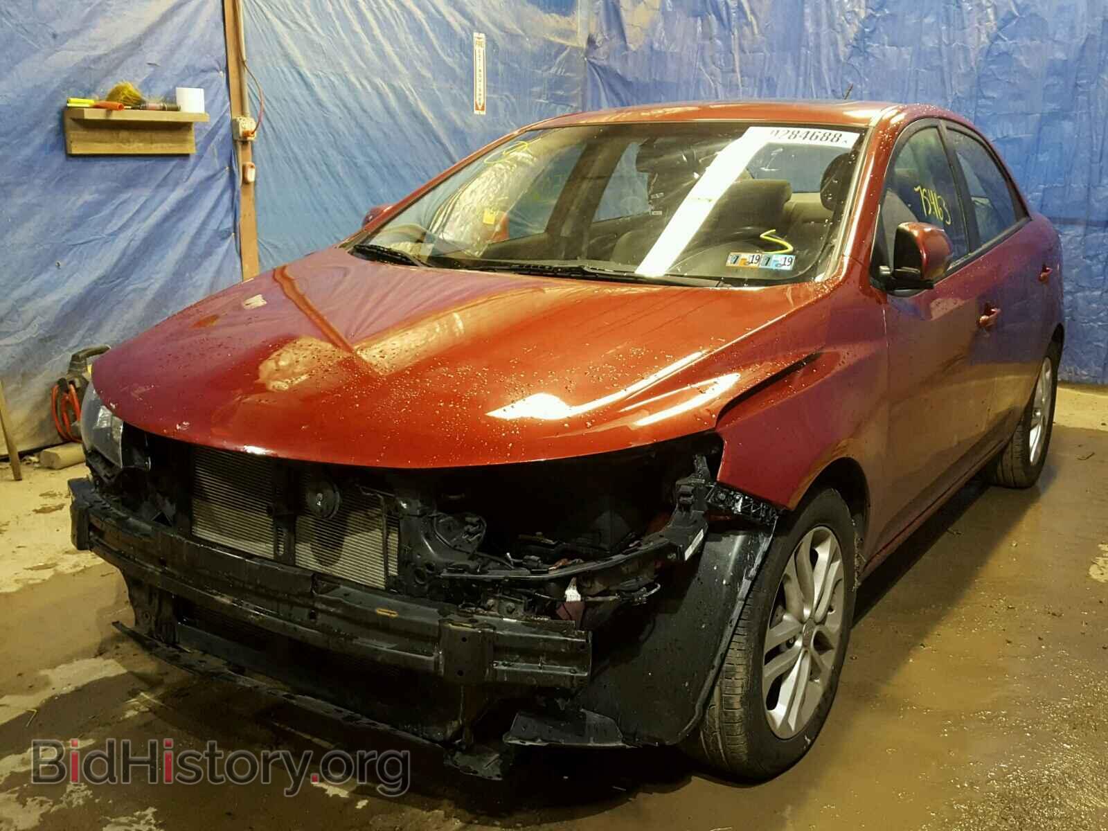 2011 KIA FORTE - VIN: KNAFU4A27B5365221 - Фото 2