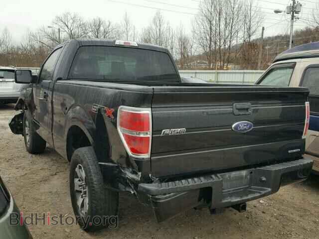 2013 FORD F150 - VIN: 1FTMF1EF1DFB89554 - Фото 3