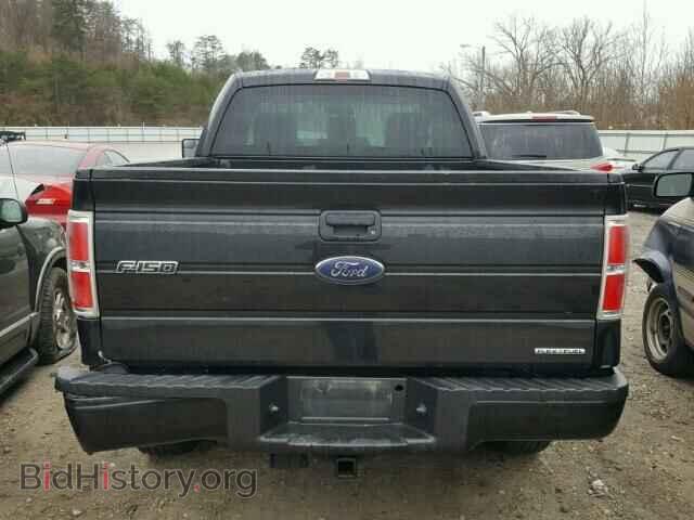 2013 FORD F150 - VIN: 1FTMF1EF1DFB89554 - Фото 6