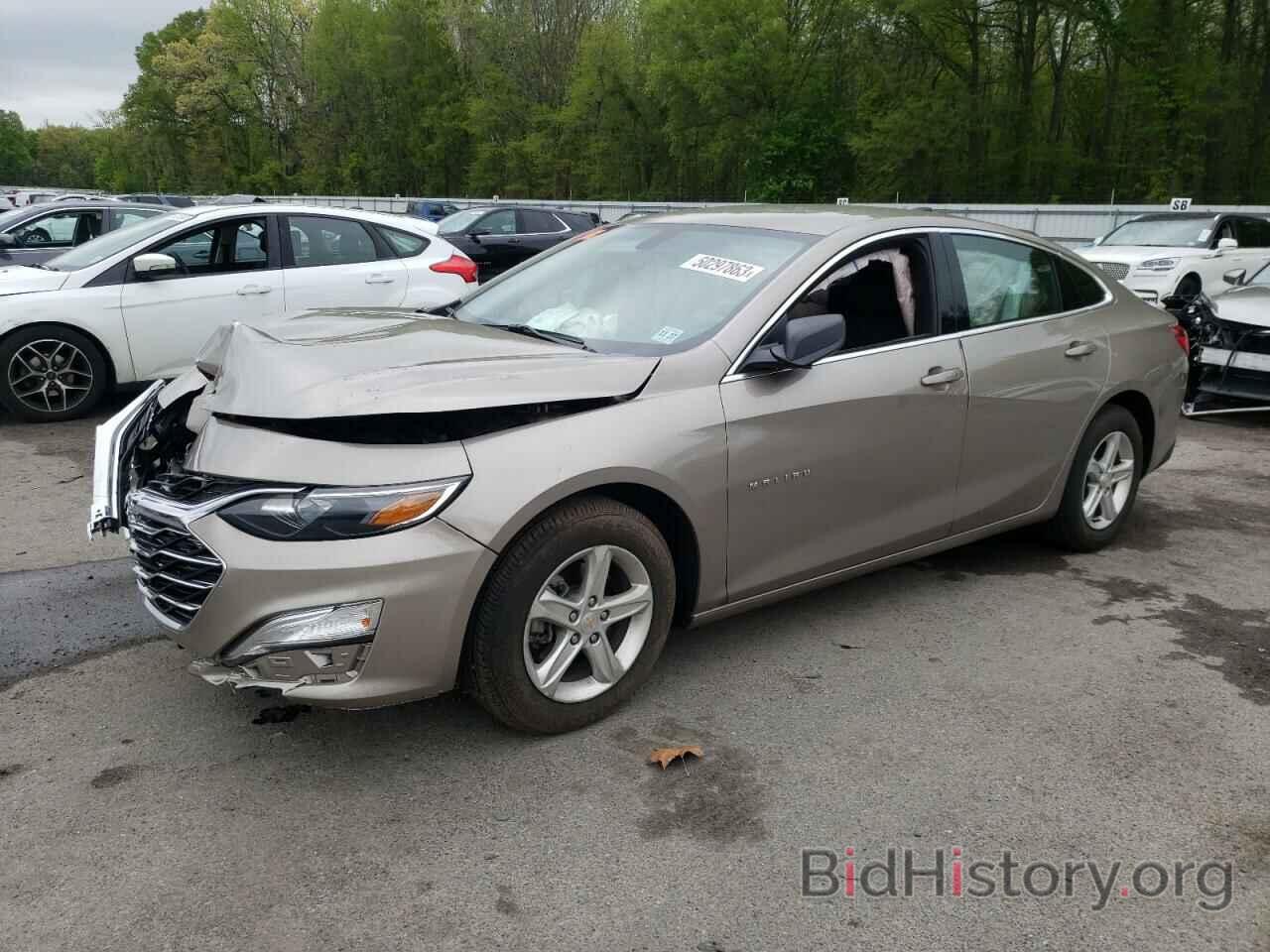 Photo 1G1ZB5ST0NF209676 - CHEVROLET MALIBU 2022