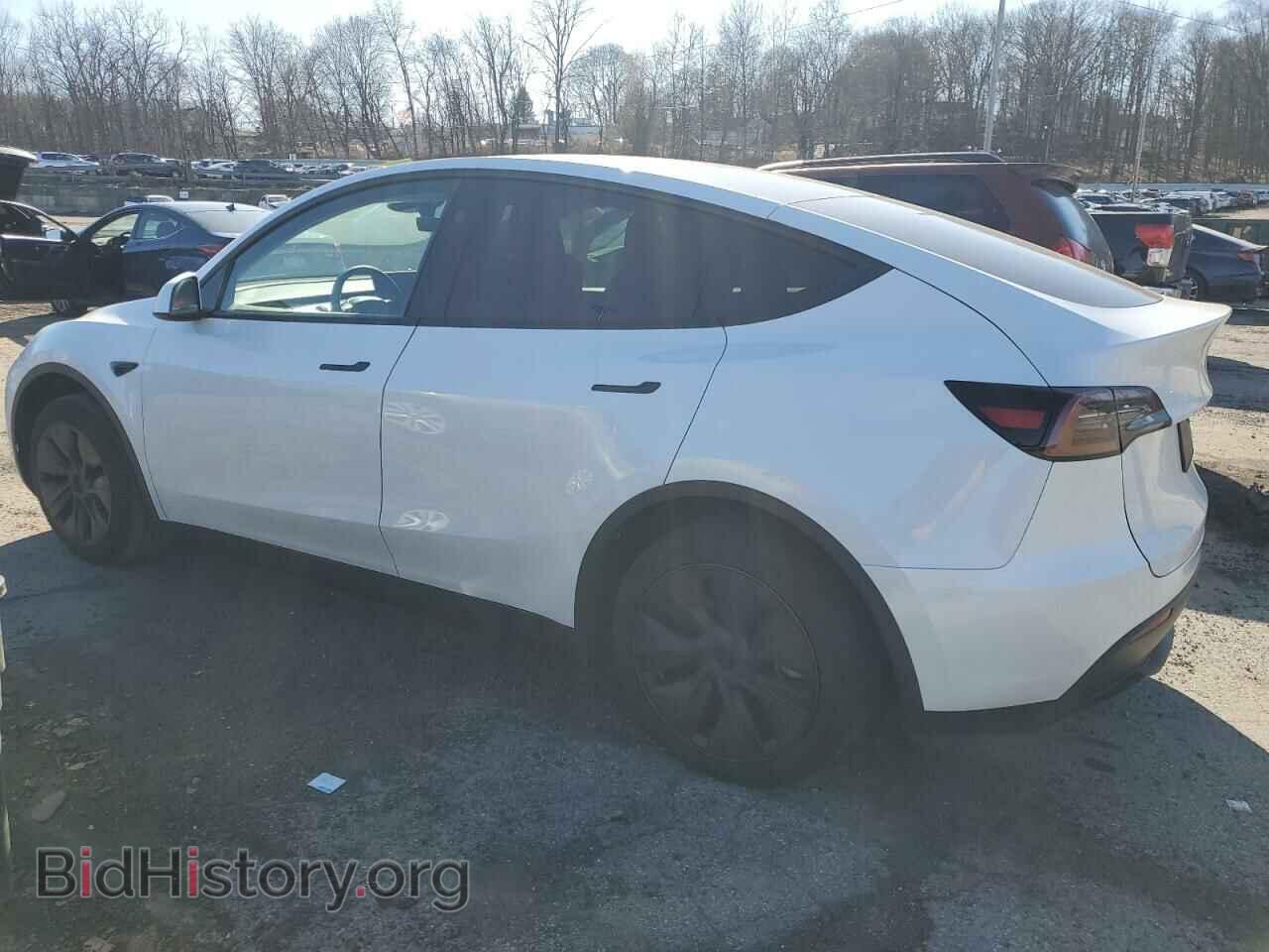 2024 TESLA MODEL Y - VIN: 7SAYGDED9RF094494 - Photo 2