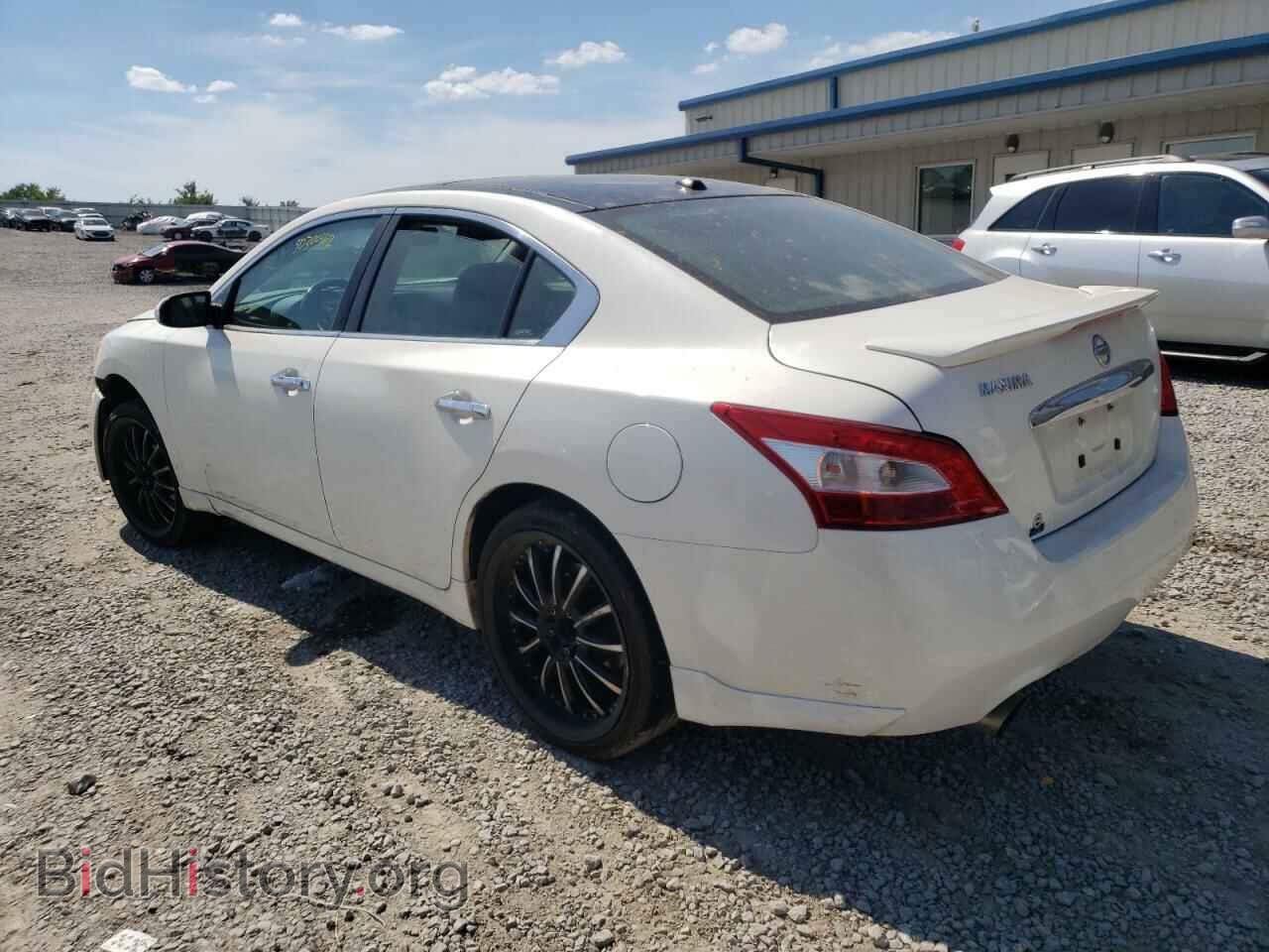 2010 NISSAN MAXIMA - VIN: 1N4AA5AP0AC845009 - Фото 3