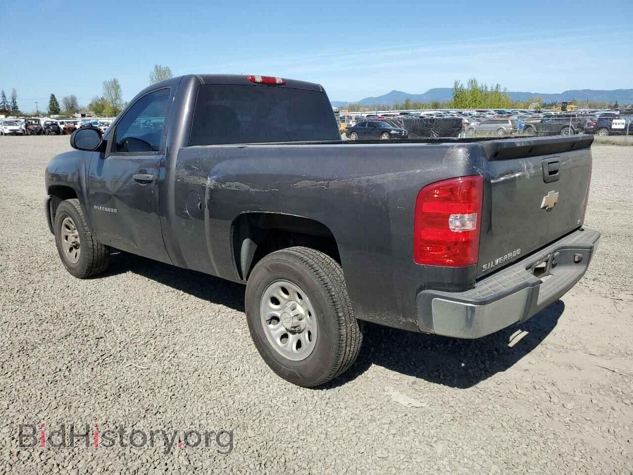 2010 CHEVROLET SILVERADO - VIN: 1GCPCPEX1AZ171485 - Фото 2
