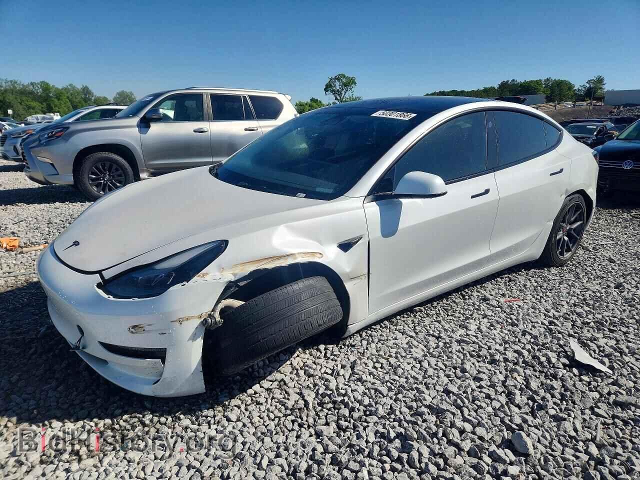 Фотография 5YJ3E1EA0PF481899 - TESLA MODEL 3 2023
