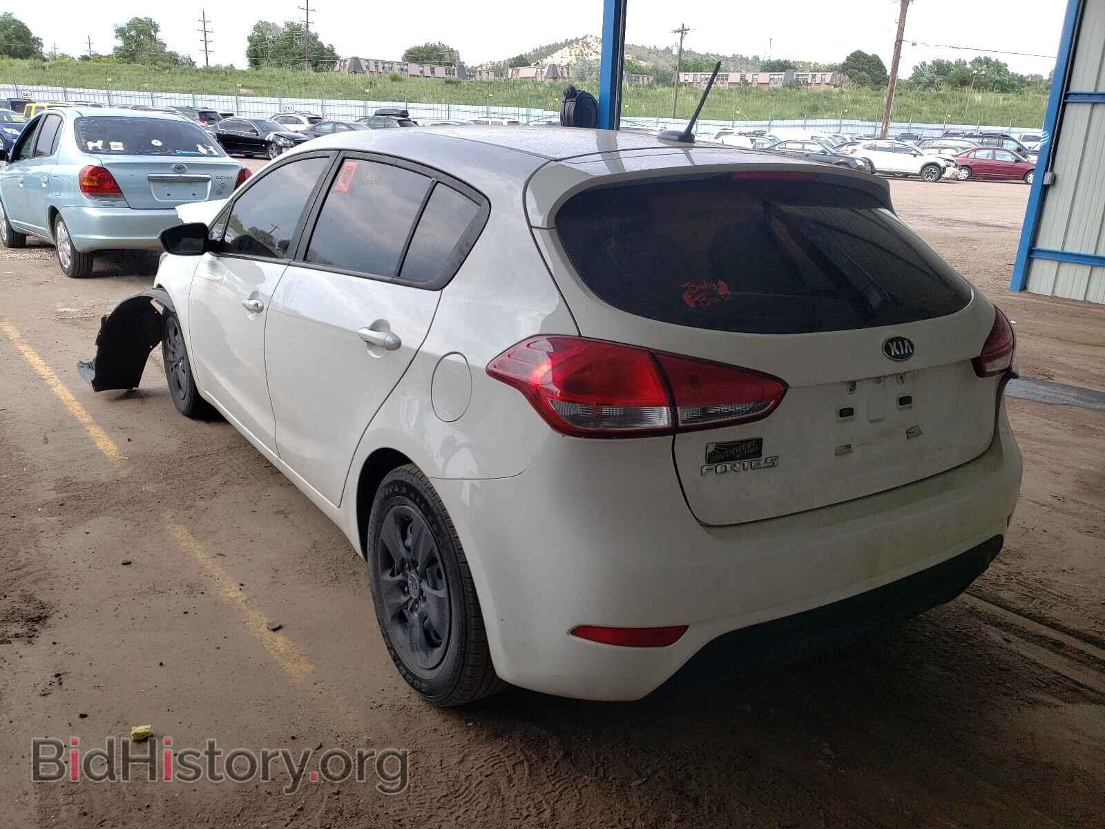 2017 KIA FORTE - VIN: KNAFK5A81H5667533 - Фото 3