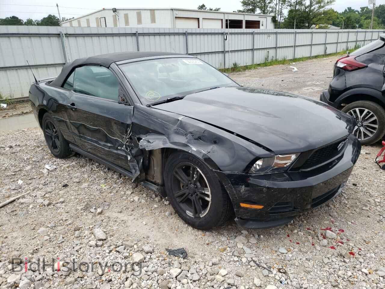 Photo 1ZVBP8EM9C5210664 - FORD MUSTANG 2012