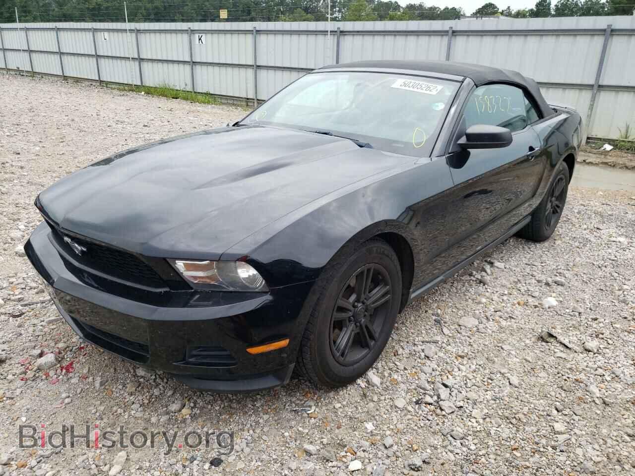 2012 FORD MUSTANG - VIN: 1ZVBP8EM9C5210664 - Фото 2