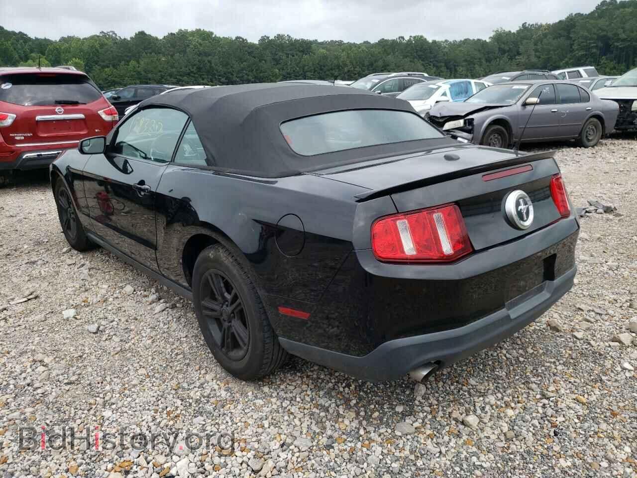 2012 FORD MUSTANG - VIN: 1ZVBP8EM9C5210664 - Фото 3