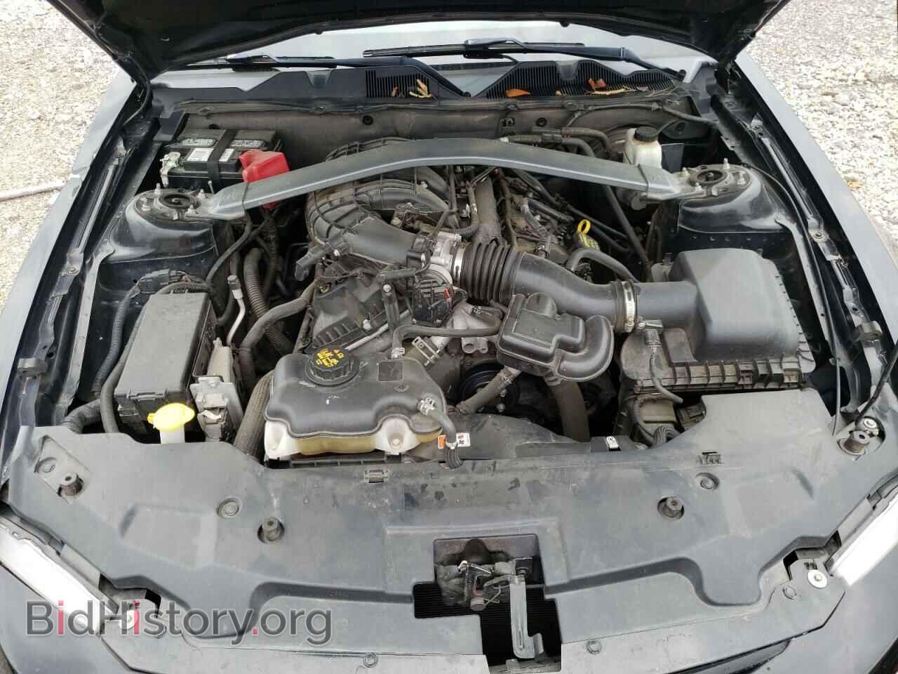 2012 FORD MUSTANG - VIN: 1ZVBP8EM9C5210664 - Фото 7