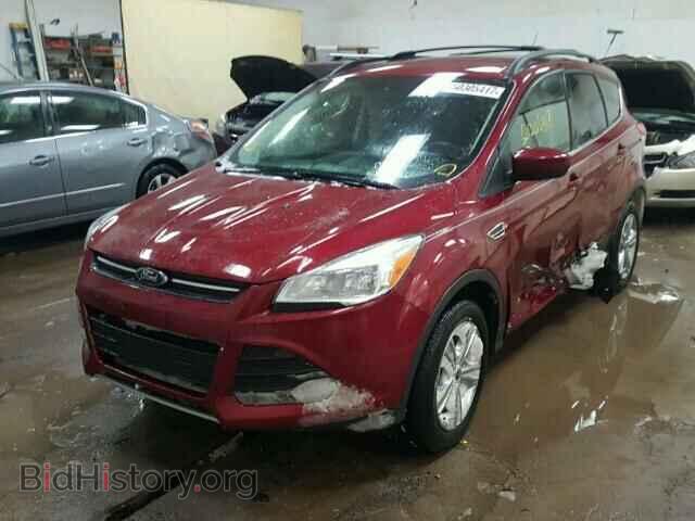 2013 FORD ESCAPE - VIN: 1FMCU0GX7DUD36033 - Photo 2