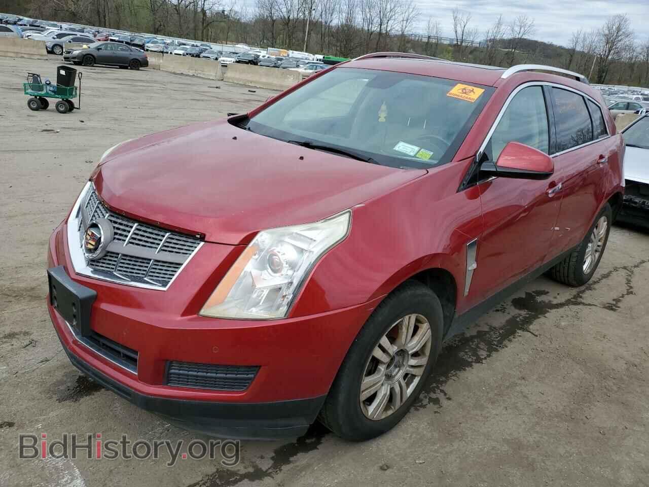 Фотография 3GYFNAEY3AS610575 - CADILLAC SRX 2010