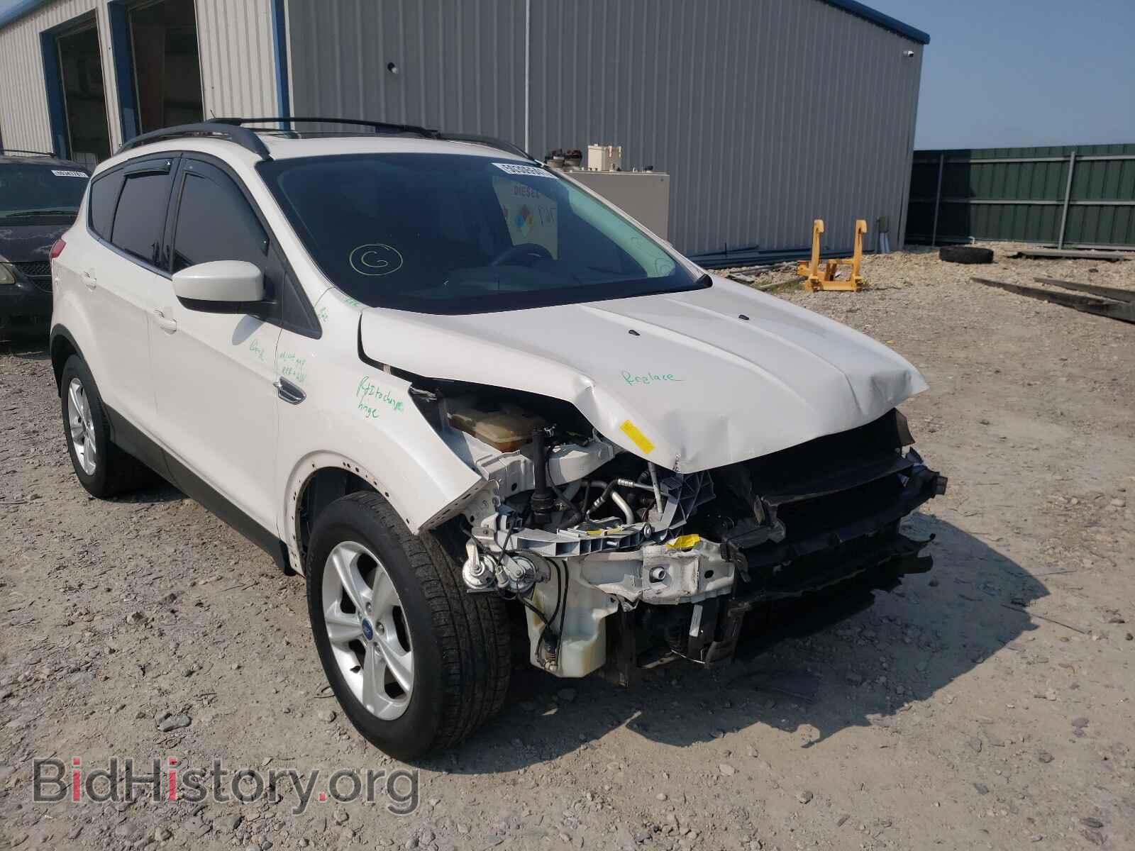 Фотография 1FMCU0GX4DUA07175 - FORD ESCAPE 2013