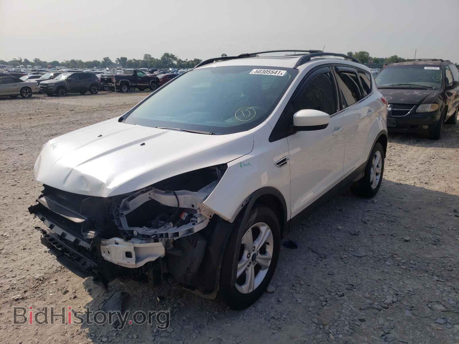 2013 FORD ESCAPE - VIN: 1FMCU0GX4DUA07175 - Фото 2