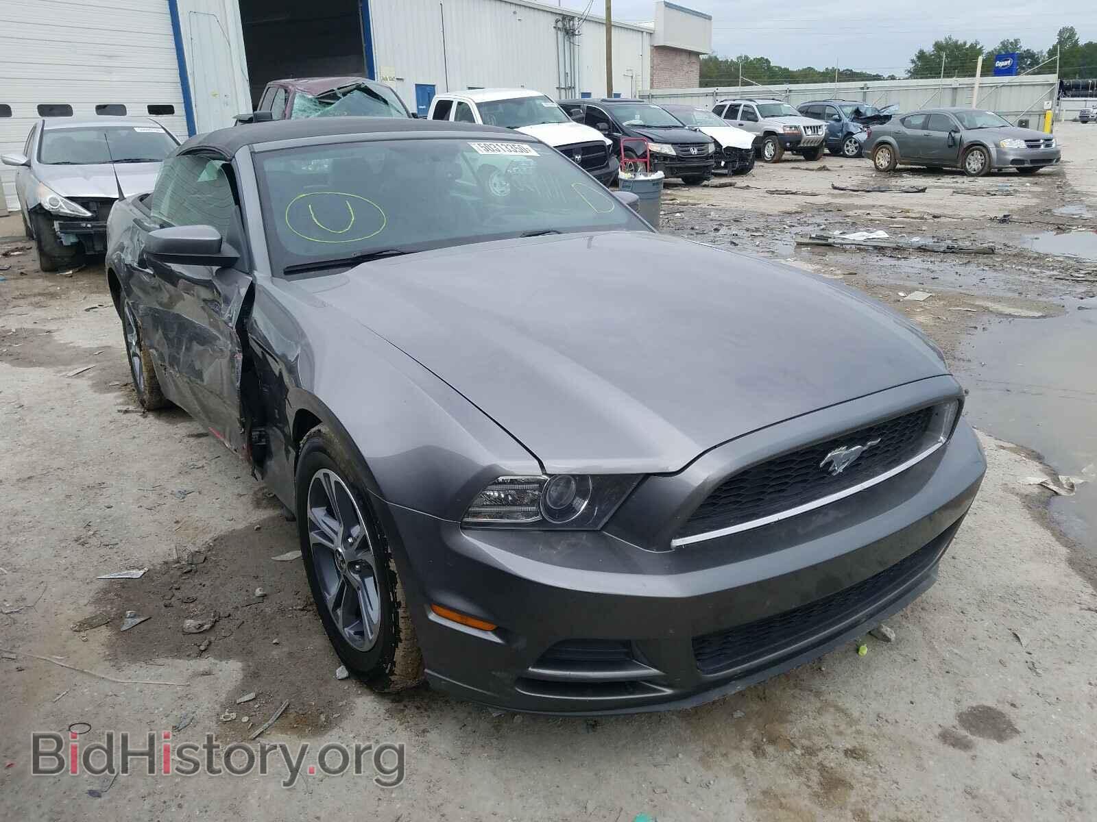 Photo 1ZVBP8EM2E5266853 - FORD MUSTANG 2014