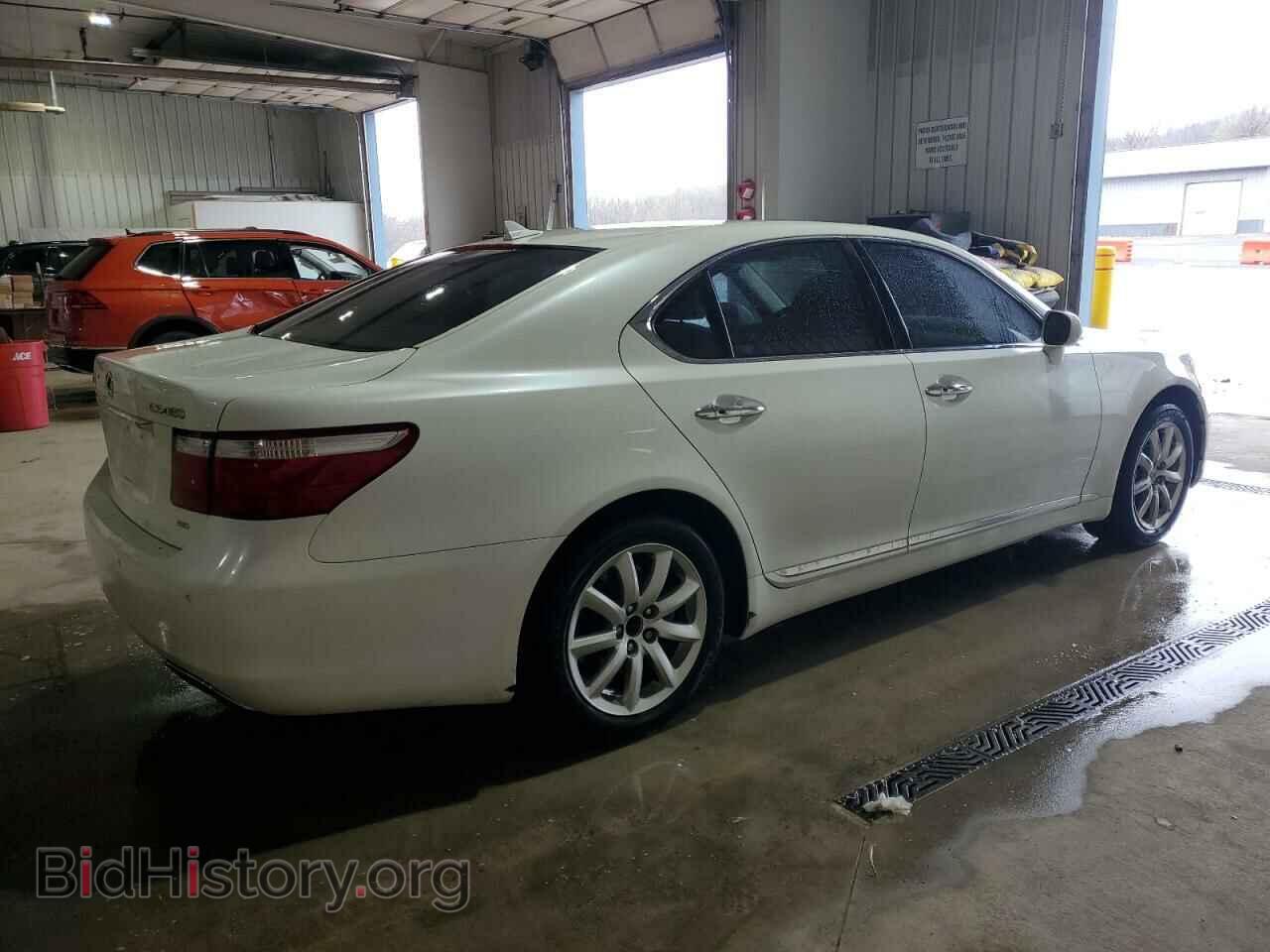 2009 LEXUS LS460 - VIN: JTHCL46F695002017 - Photo 3