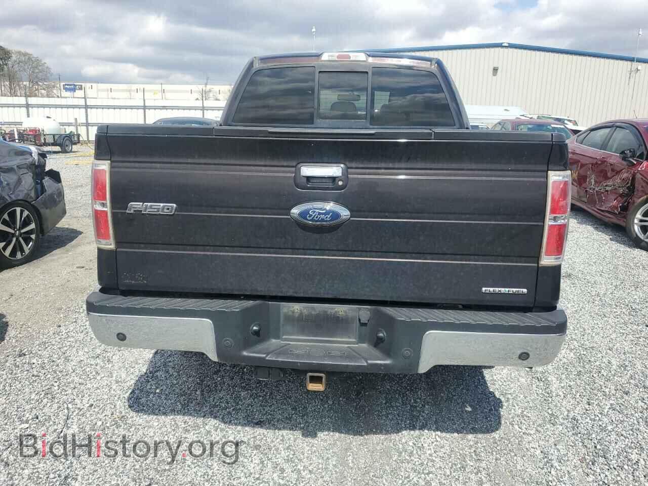 2013 FORD F-150 - VIN: 1FTFW1CF2DFA99647 - Фото 6