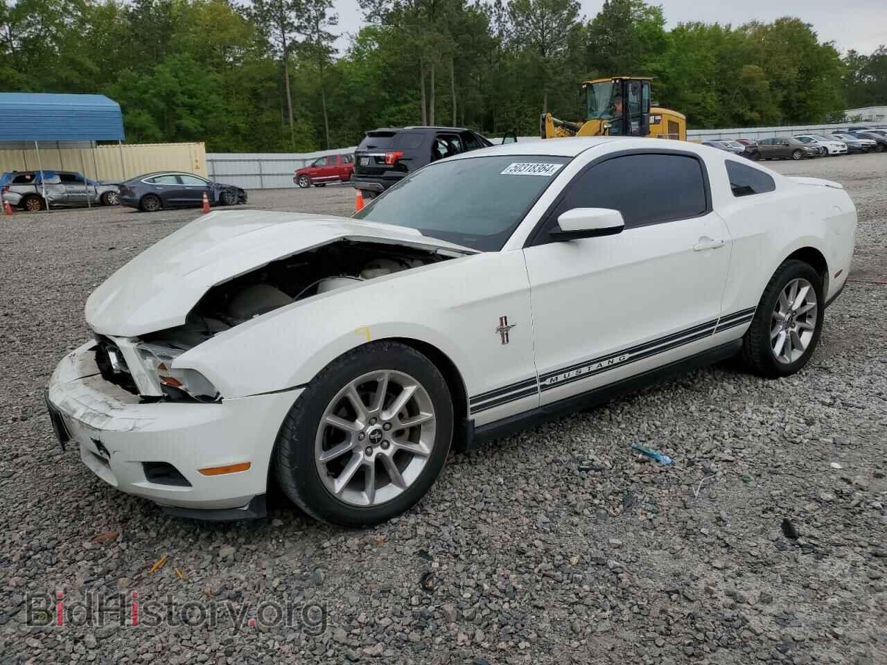 Photo 1ZVBP8AN9A5102587 - FORD ALL Models 2010
