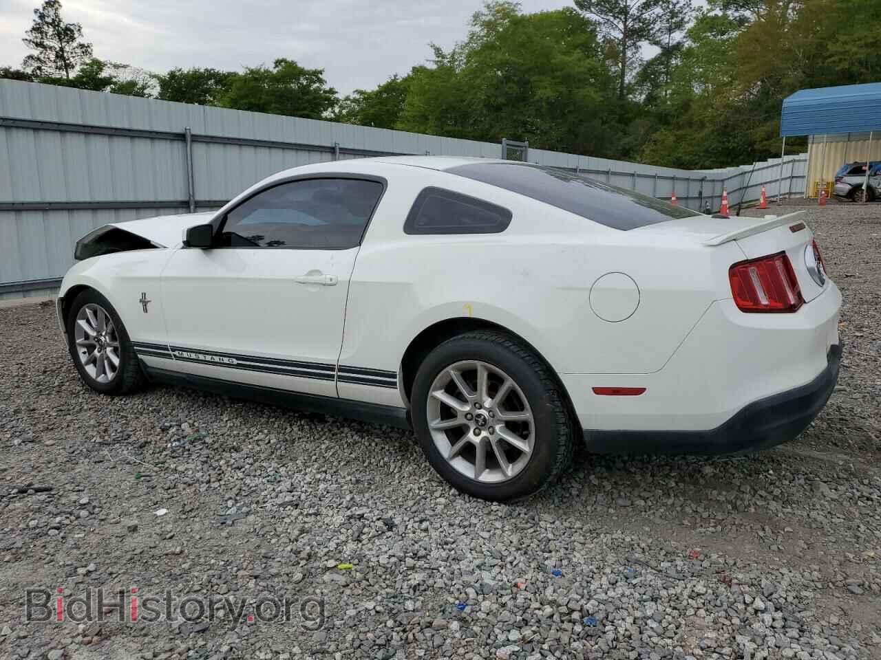 2010 FORD ALL Models - VIN: 1ZVBP8AN9A5102587 - Фото 2