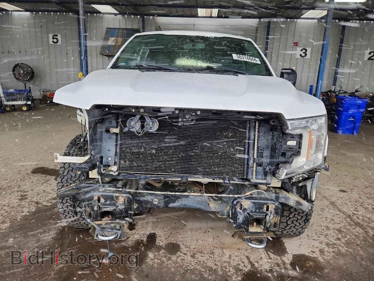 2019 FORD F150 - VIN: 1FTFX1E59KKC36668 - Фото 5