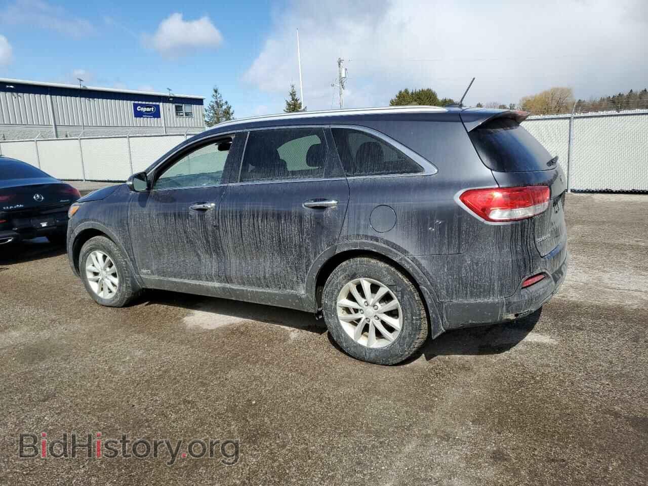 2016 KIA SORENTO - VIN: 5XYPGDA13GG176246 - Фото 2