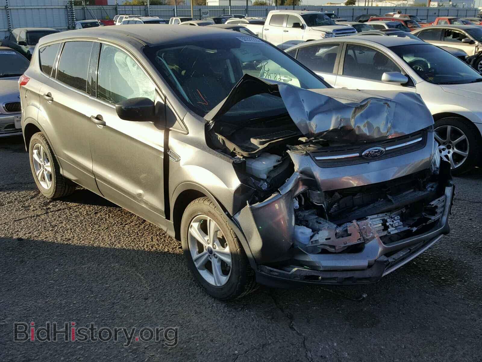 Фотография 1FMCU0GX6EUD10413 - FORD ESCAPE 2014