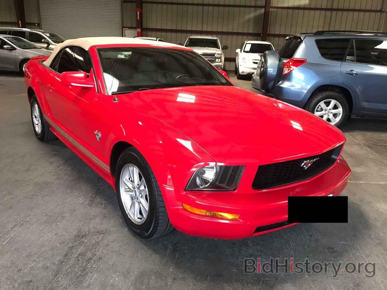 Photo 1ZVHT84N195113001 - FORD MUSTANG 2009