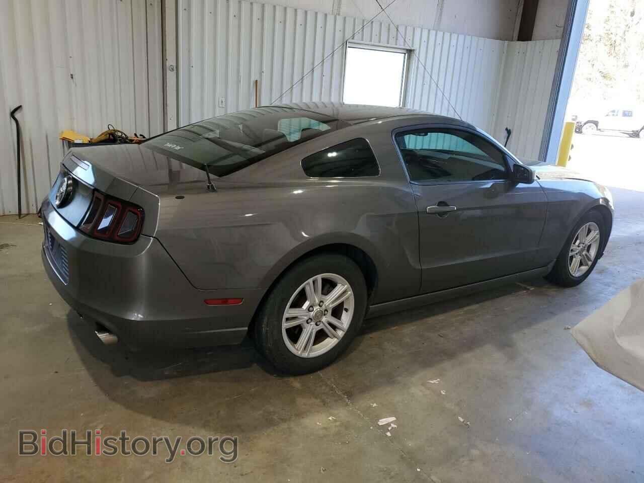 2013 FORD ALL Models - VIN: 1ZVBP8AM8D5226023 - Фото 3