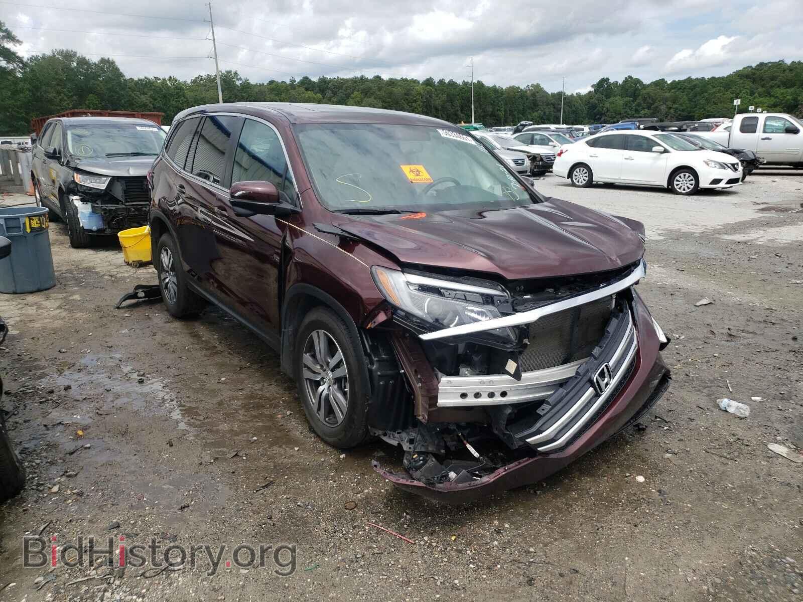 Photo 5FNYF5H56HB031863 - HONDA PILOT 2017