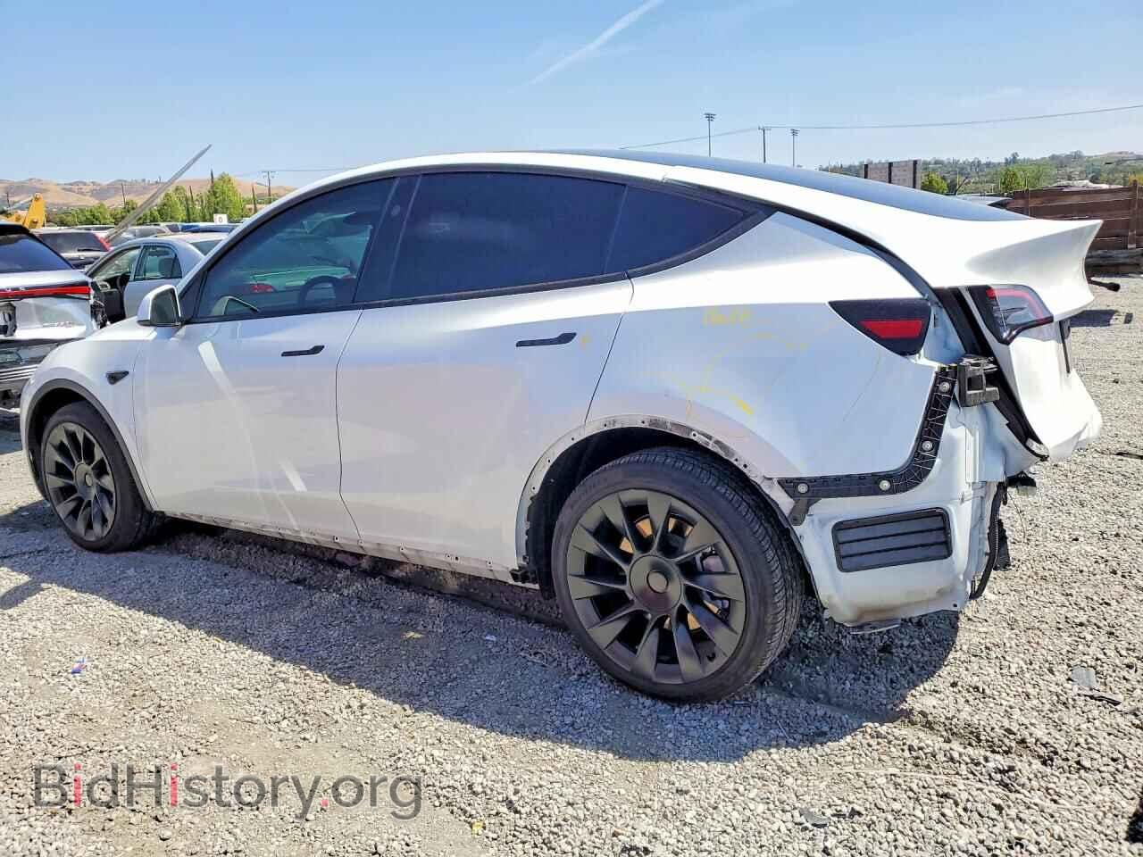 2024 TESLA MODEL Y - VIN: 7SAYGDEE2RF066089 - Фото 2