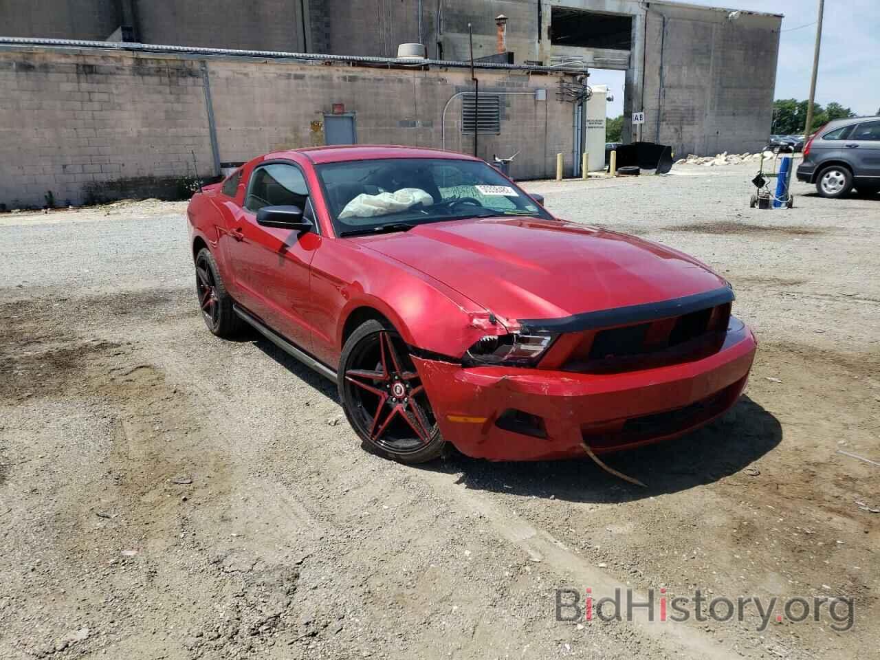 Photo 1ZVBP8AN8A5129036 - FORD MUSTANG 2010