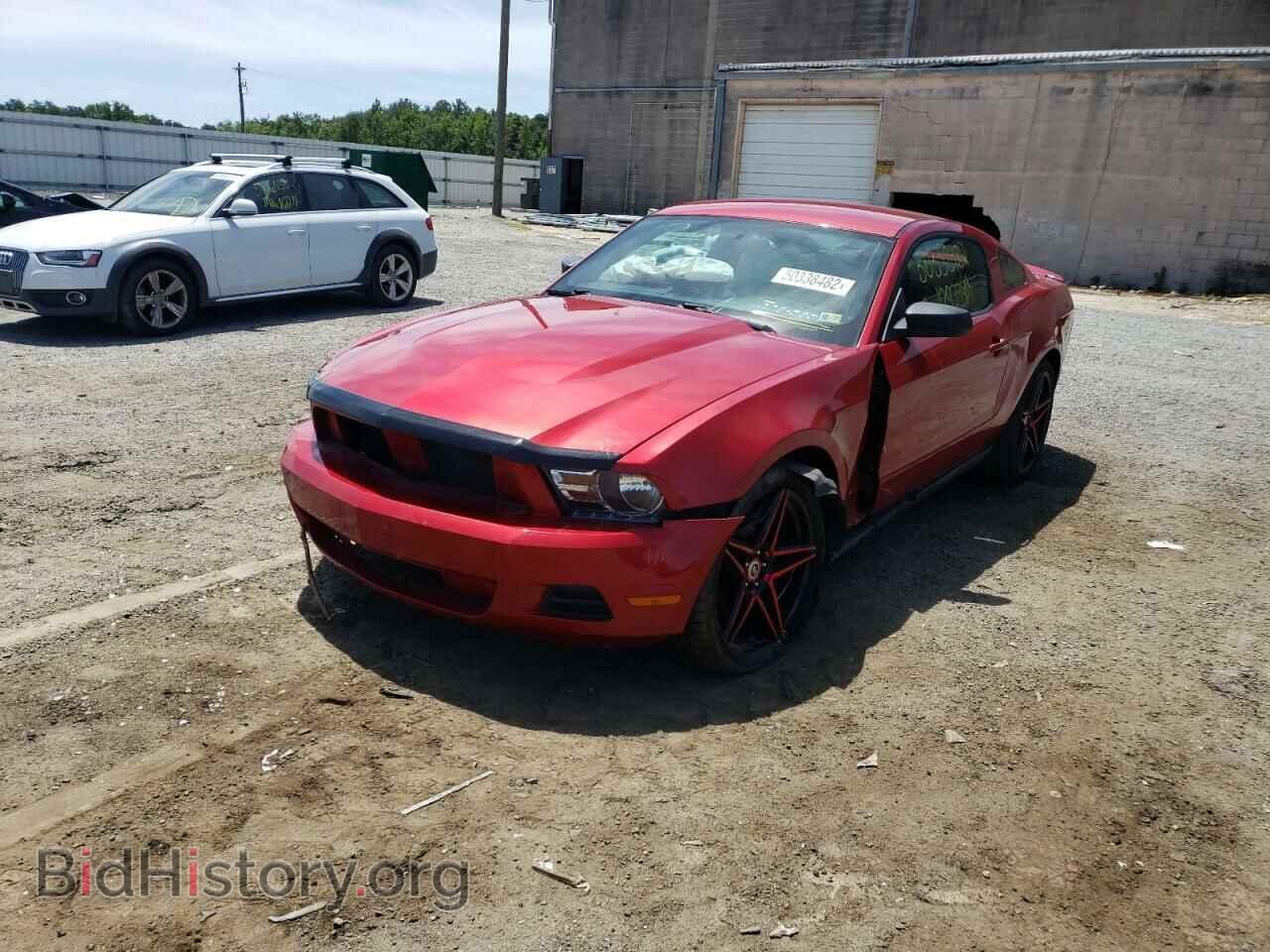 2010 FORD MUSTANG - VIN: 1ZVBP8AN8A5129036 - Фото 2