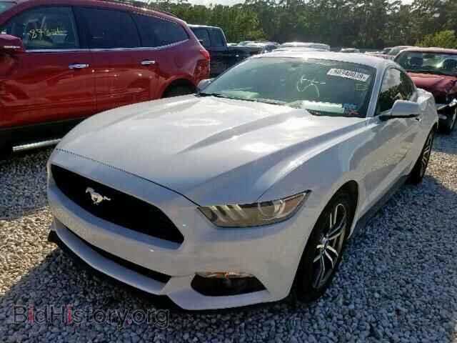 2017 FORD MUSTANG - VIN: 1FA6P8TH9H5295884 - Фото 2