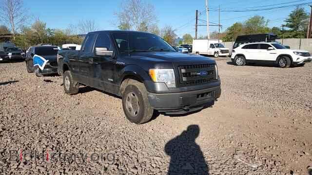 2014 FORD F150 - VIN: 1FTFX1ET9EKE65872 - Фото 13