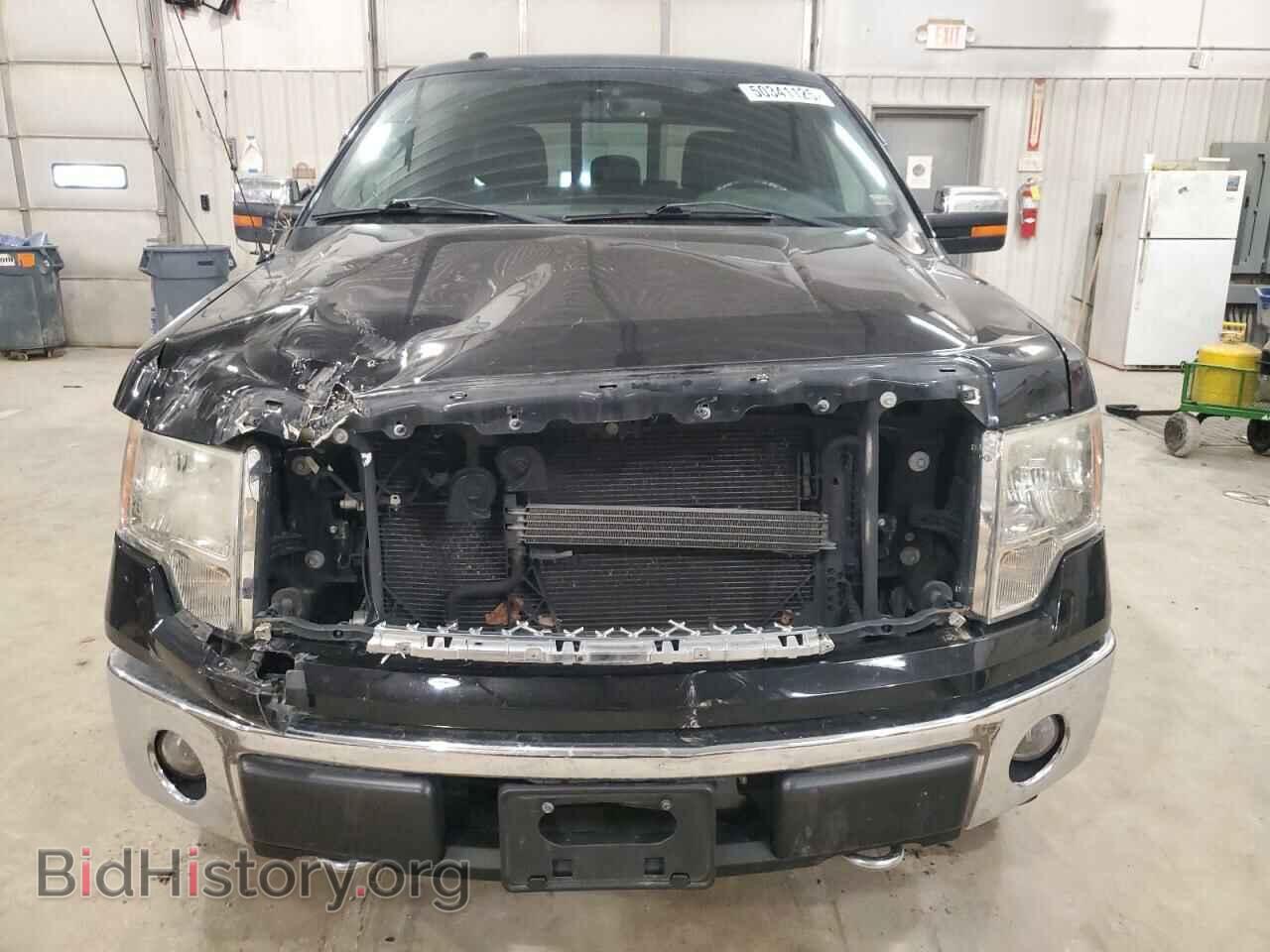 2011 FORD F-150 - VIN: 1FTFW1EF8BFC87261 - Фото 5