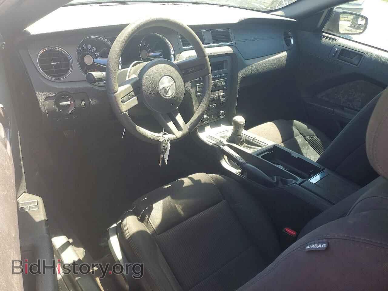 2012 FORD MUSTANG - VIN: 1ZVBP8AMXC5281331 - Фото 8