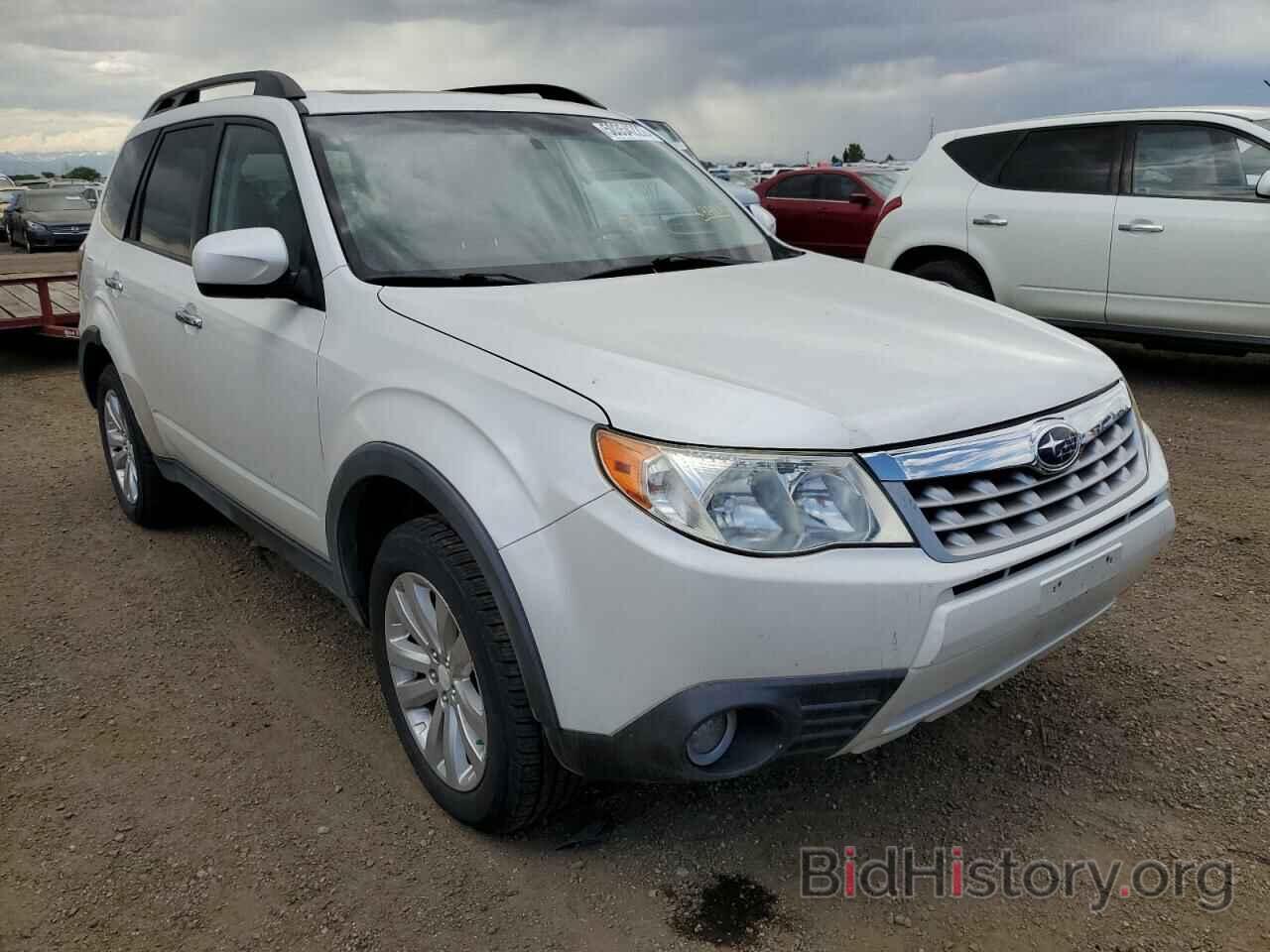 Photo JF2SHBFC3BH731073 - SUBARU FORESTER 2011