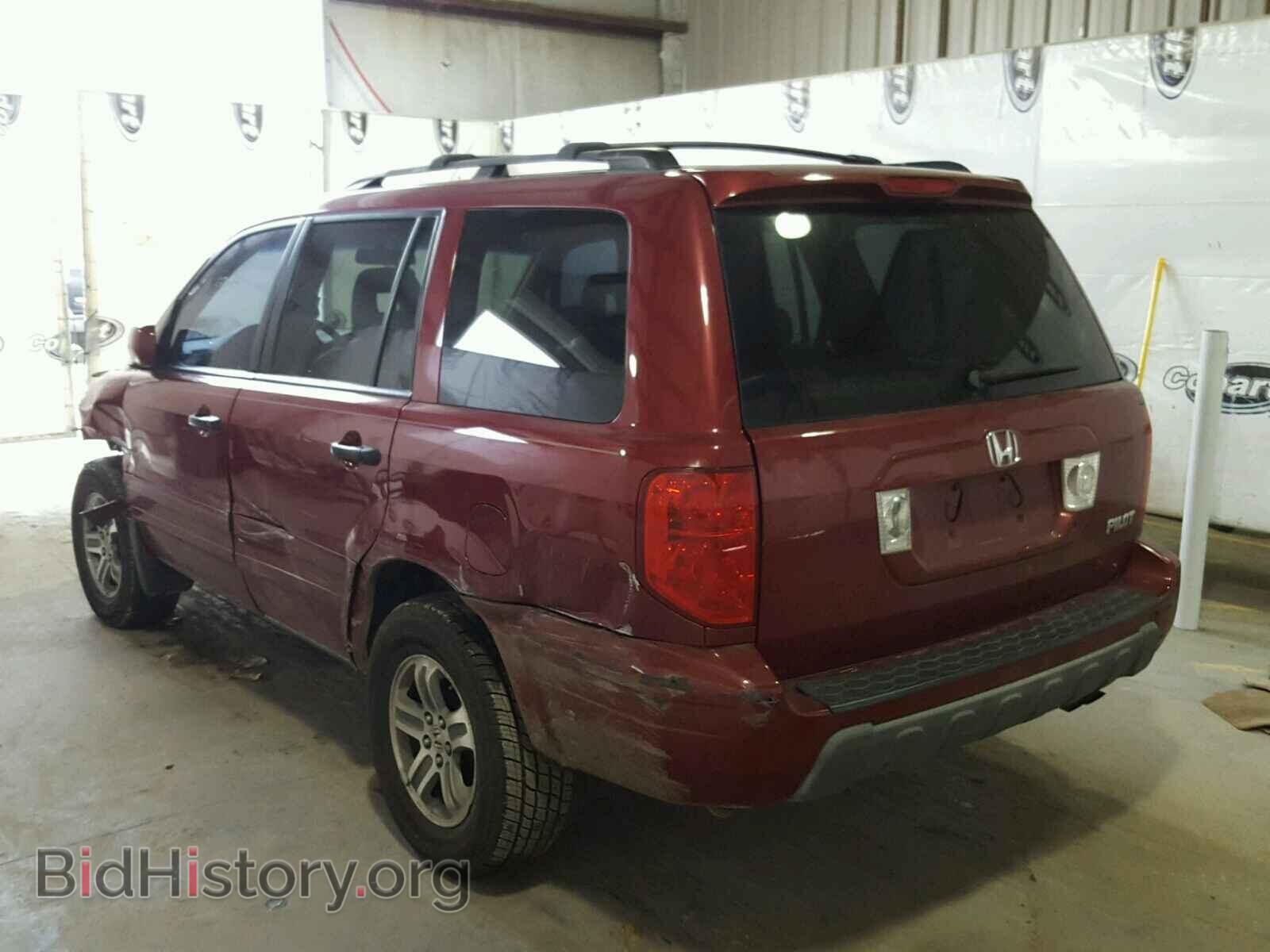 2005 HONDA PILOT - VIN: 5FNYF18645B052210 - Фото 3