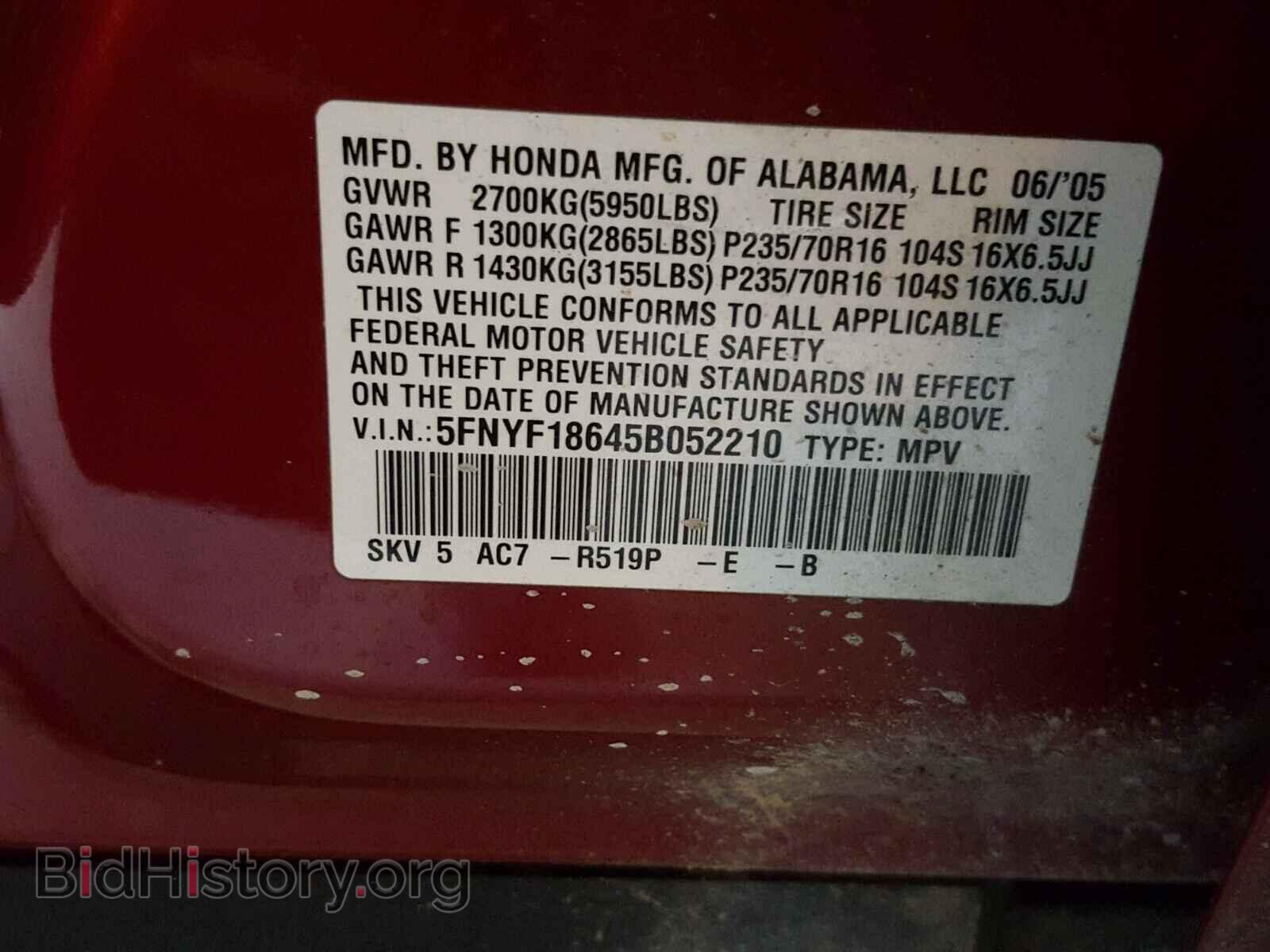 2005 HONDA PILOT - VIN: 5FNYF18645B052210 - Фото 10