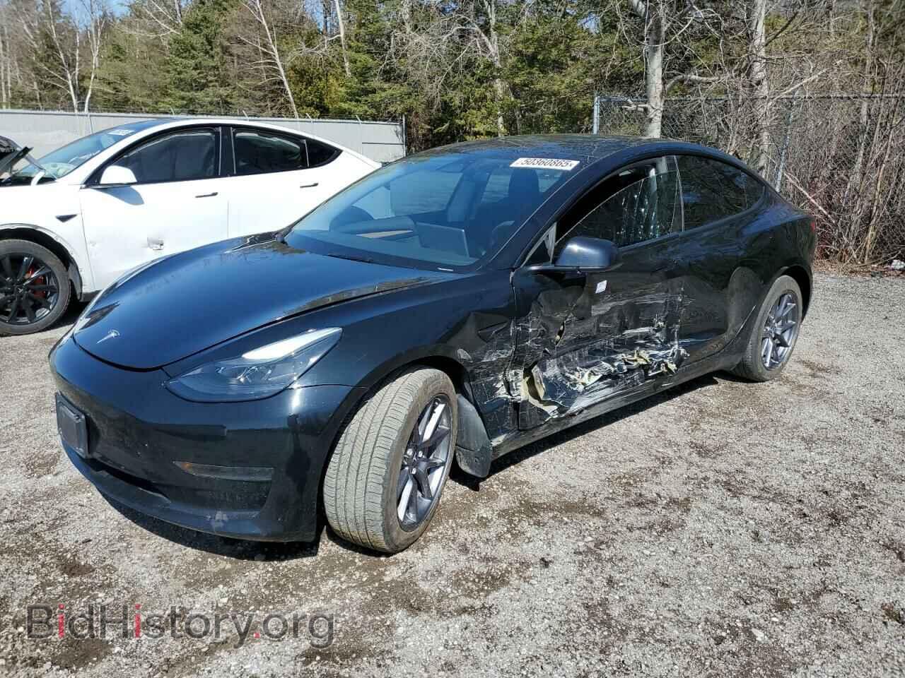 Фотография LRW3E1FA5PC920846 - TESLA MODEL 3 2023