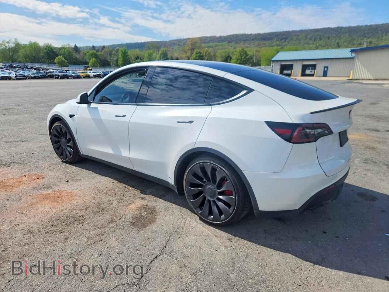 2024 TESLA MODEL Y - VIN: 7SAYGDEF0RF034394 - Фото 2